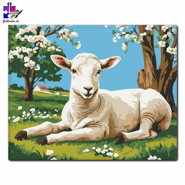 Lamm unter einem blühenden Baum | Malen nach Zahlen-Zahlmaler.de