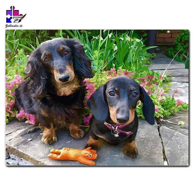 Dackelfreude vor Blumenhintergrund | Malen nach Zahlen-Zahlmaler.de