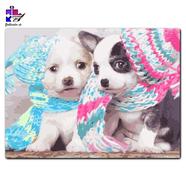 Das angezogene Welpen Pärchen | Malen nach Zahlen-Zahlmaler.de