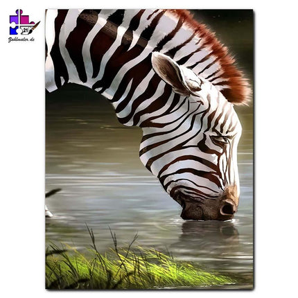 Das durstige Zebra | Malen nach Zahlen-Zahlmaler.de