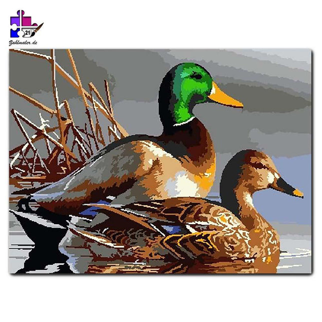 Das friedliche Entenpaar im Teich  | Malen nach Zahlen-Zahlmaler.de