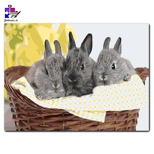 Das Hasen-trio im Korb | Malen nach Zahlen-Zahlmaler.de
