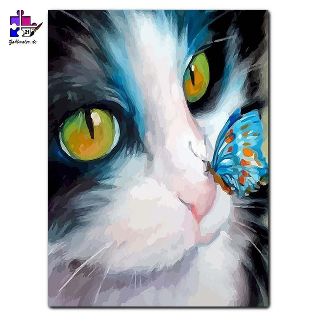 Das Kätzchen und der blaue Schmetterling | Malen nach Zahlen-Zahlmaler.de