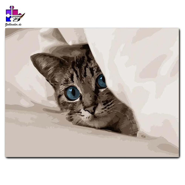 Das Kätzchen unter den Kissen | Malen nach Zahlen-Zahlmaler.de