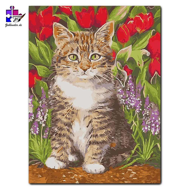 Das Kätzchen vor dem Tulpenbeet | Malen nach Zahlen-Zahlmaler.de