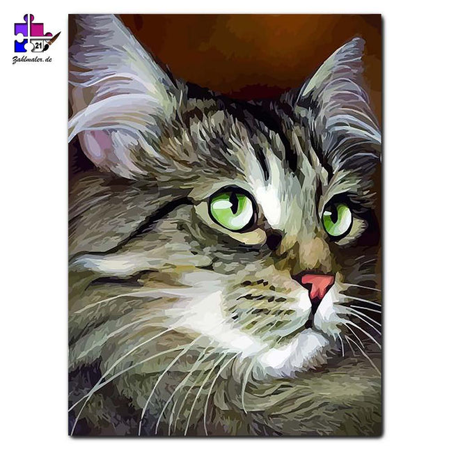 Das Katzenportrait von Mr. Grünauge | Malen nach Zahlen-Zahlmaler.de
