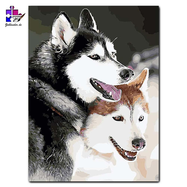 Das nordische Husky Paar in Sibirien | Malen nach Zahlen-Zahlmaler.de