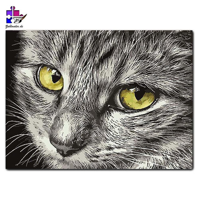 Das perfekte Katzenportrait | Malen nach Zahlen-Zahlmaler.de
