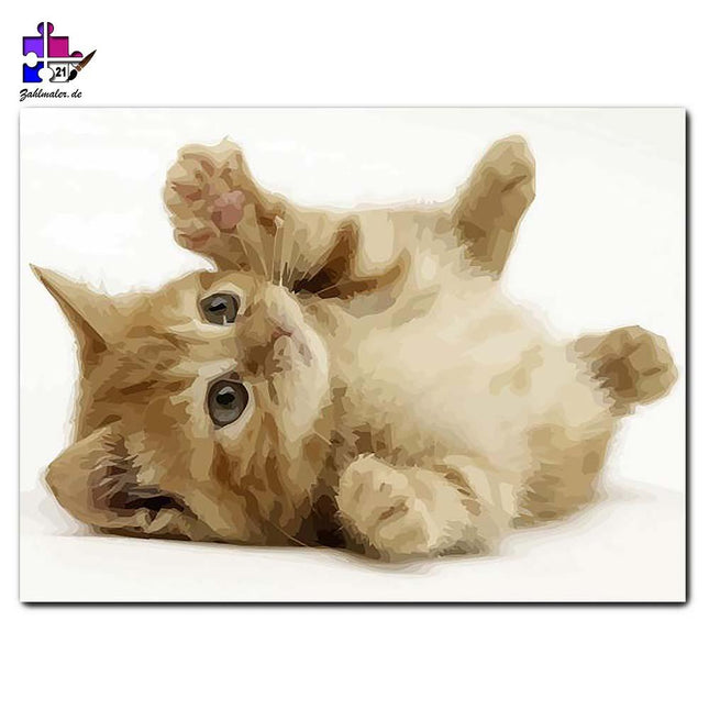 Das spielende Miezekätzchen | Malen nach Zahlen-Zahlmaler.de