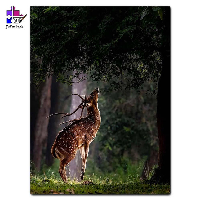 Das springende Reh | Malen nach Zahlen-Zahlmaler.de