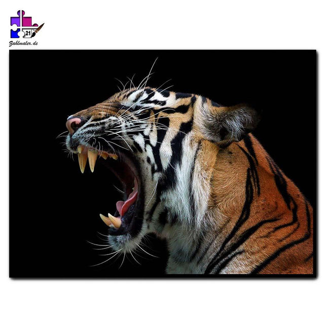 Das Tigerprofil | Malen nach Zahlen-Zahlmaler.de