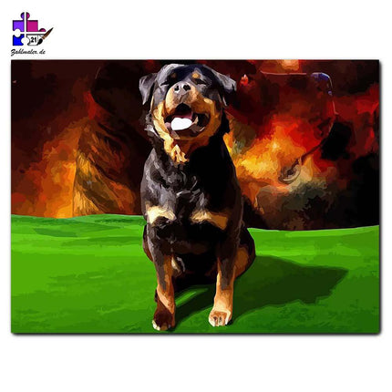 Der brave Rottweiler und seine Gedanken | Malen nach Zahlen-Zahlmaler.de