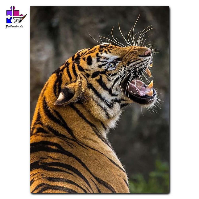 Der brüllende Tiger | Malen nach Zahlen-Zahlmaler.de