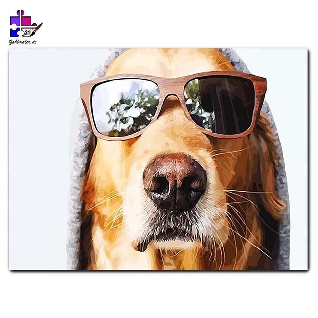 Der coole Hund und sein Hoodie | Malen nach Zahlen-Zahlmaler.de