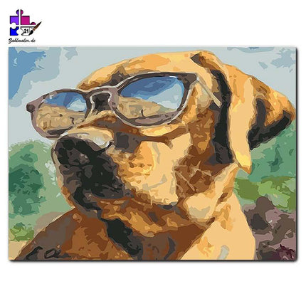 Der coole Hund und seine Sonnenbrille | Malen nach Zahlen-Zahlmaler.de