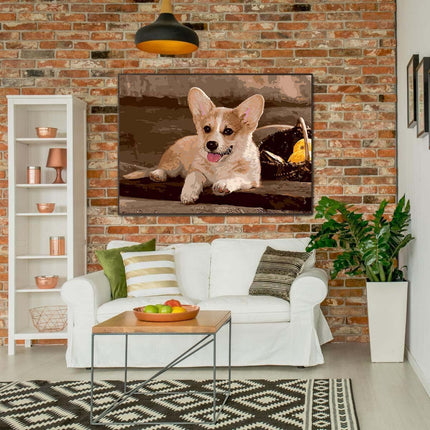 Der Corgi und die Kürbisse | Malen nach Zahlen-Zahlmaler.de