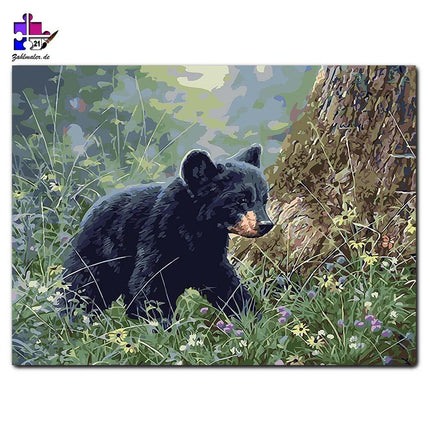 Der einsame kleine Bär | Malen nach Zahlen-Zahlmaler.de