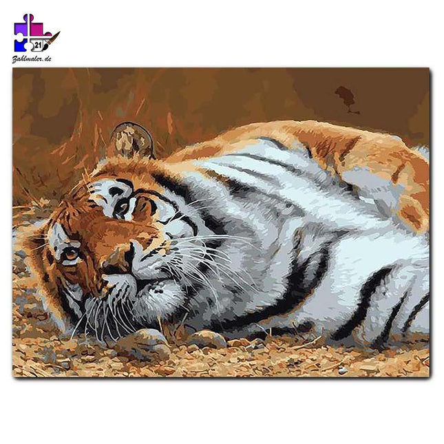 Der faule Tiger  | Malen nach Zahlen-Zahlmaler.de