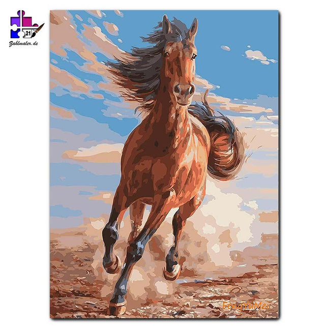 Der galoppierende Hengst in der Wüste | Malen nach Zahlen-Zahlmaler.de