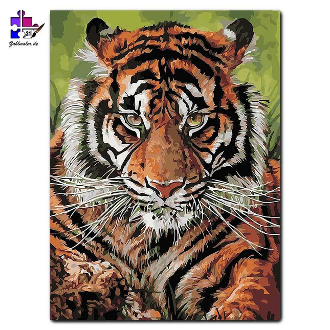 Der grimmige Tiger | Malen nach Zahlen-Zahlmaler.de