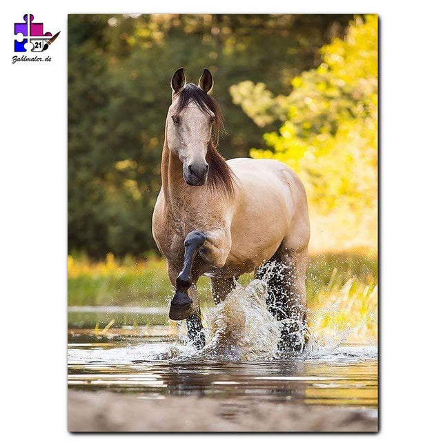 Der Hengst und der Fluss | Malen nach Zahlen-Zahlmaler.de