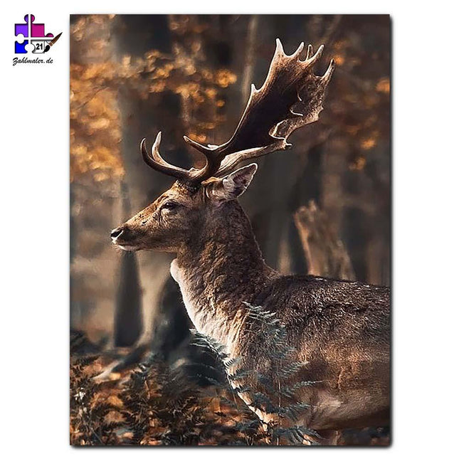 Der Hirsch bei Sonnenaufgang | Malen nach Zahlen-Zahlmaler.de