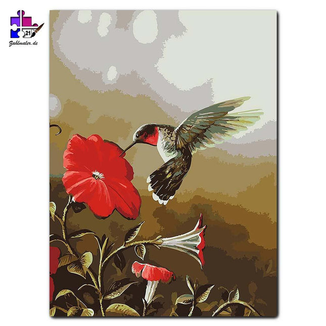 Der hungrige Kolibri | Malen nach Zahlen-Zahlmaler.de