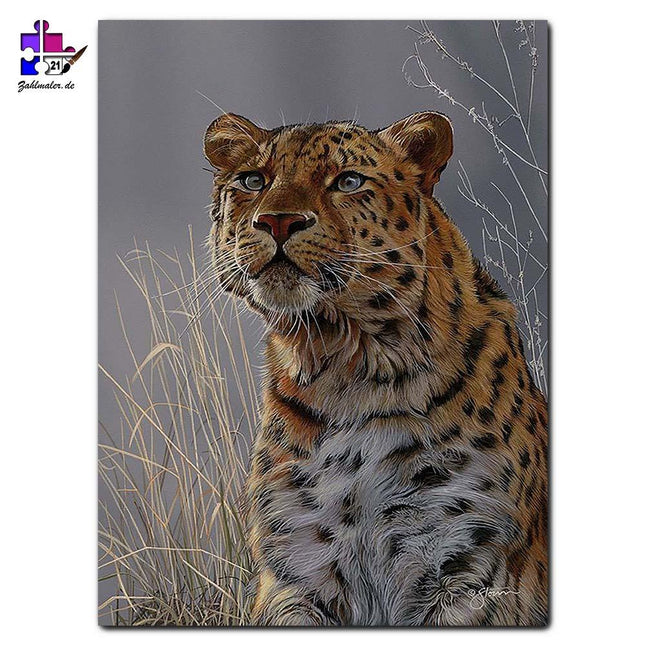 Der hungrige Leopard | Malen nach Zahlen-Zahlmaler.de