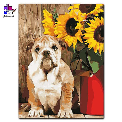 Der kleine Bulldog mit seinen gelben Sonnenblumen | Malen nach Zahlen-Zahlmaler.de