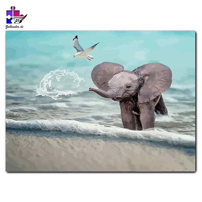Der kleine Elefant an der Küste | Malen nach Zahlen-Zahlmaler.de