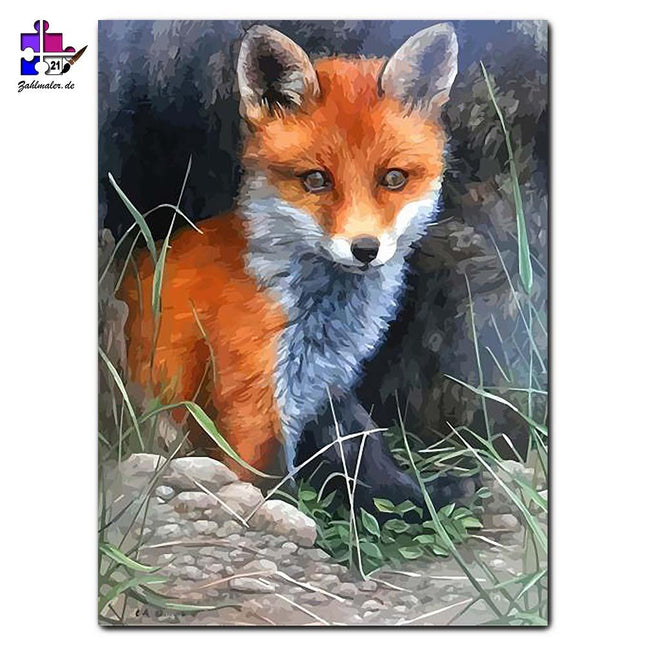 Der kleine Fuchs in seiner Höhle | Malen nach Zahlen-Zahlmaler.de