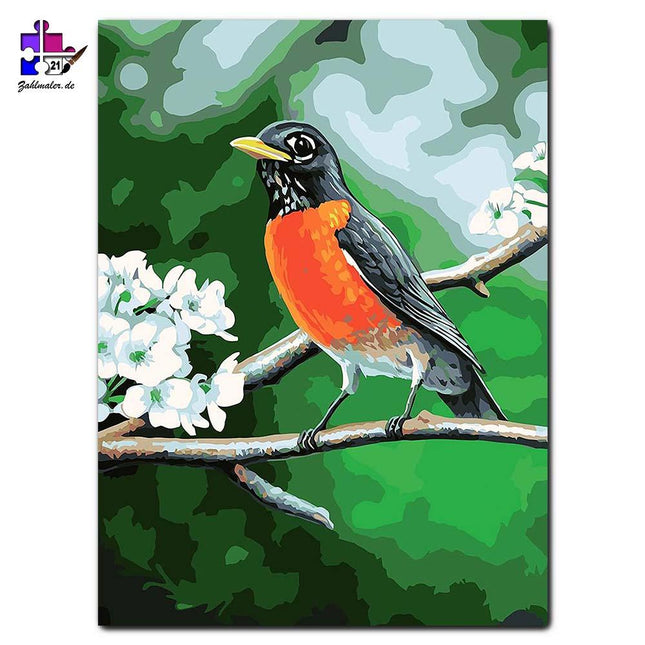 Der kleine Gimpel hält Ausschau | Malen nach Zahlen-Zahlmaler.de