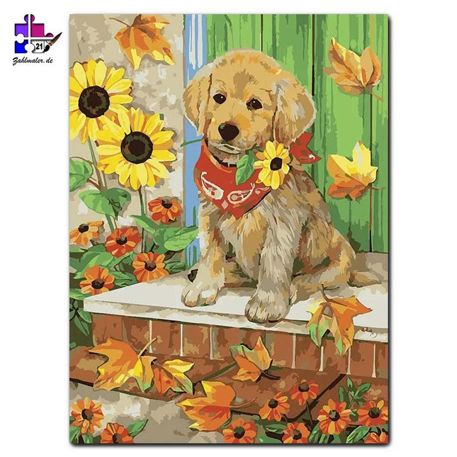 Der kleine Welpe im Herbst | Malen nach Zahlen-Zahlmaler.de