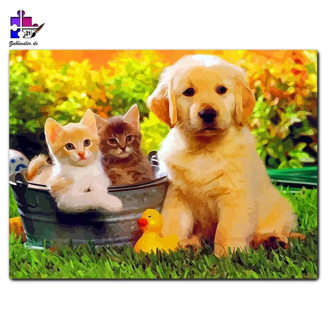 Der kleine Welpe und die Katzenbabys | Malen nach Zahlen-Zahlmaler.de