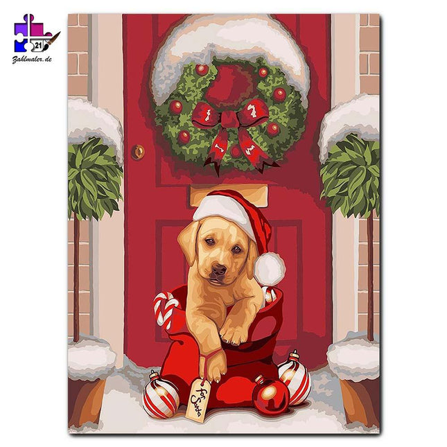 Der kleine Welpe vor der Eingangstür | Malen nach Zahlen-Zahlmaler.de