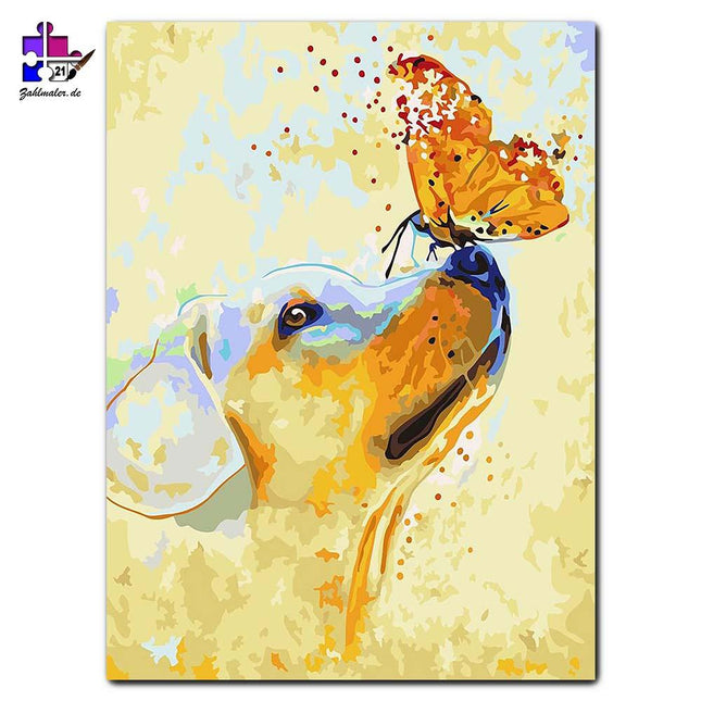 Der Labrador und der Schmetterling | Malen nach Zahlen-Zahlmaler.de