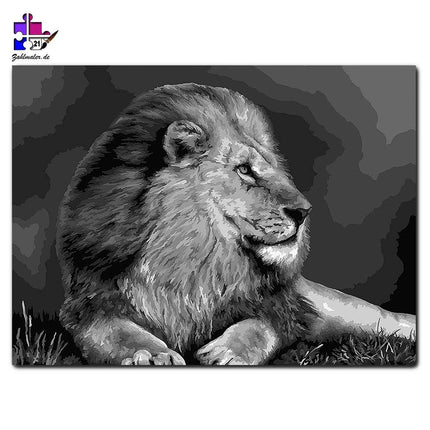 Der Löwe in schwarz-weiß | Malen nach Zahlen-Zahlmaler.de