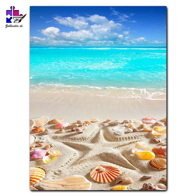 Der Meerestern an der Küste | Malen nach Zahlen-Zahlmaler.de