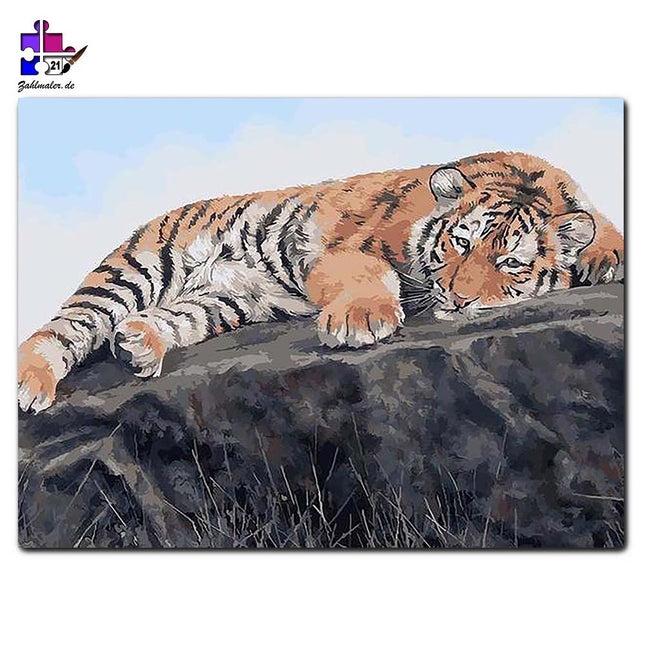 Der müde Tiger | Malen nach Zahlen-Zahlmaler.de