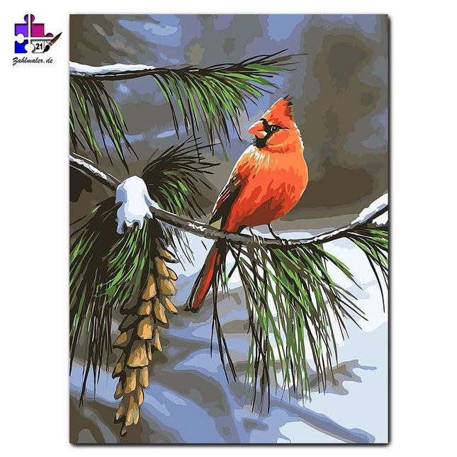 Der Rotkardinal am Tannenbaum | Malen nach Zahlen-Zahlmaler.de