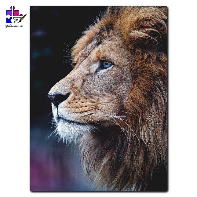 Der ruhige Löwe - König | Malen nach Zahlen-Zahlmaler.de