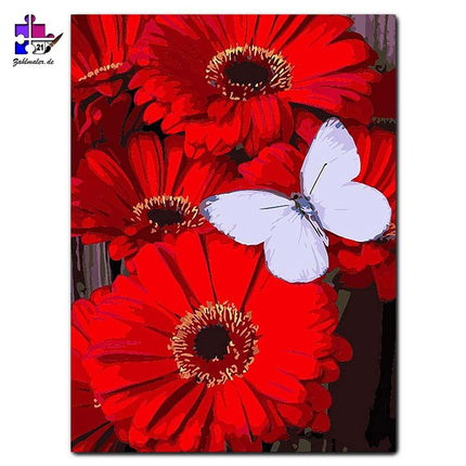 Der Schmetterling auf den roten Kokardenblumen | Malen nach Zahlen-Zahlmaler.de