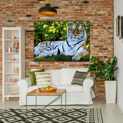 Der Tiger unter den Bäumen | Malen nach Zahlen-Zahlmaler.de