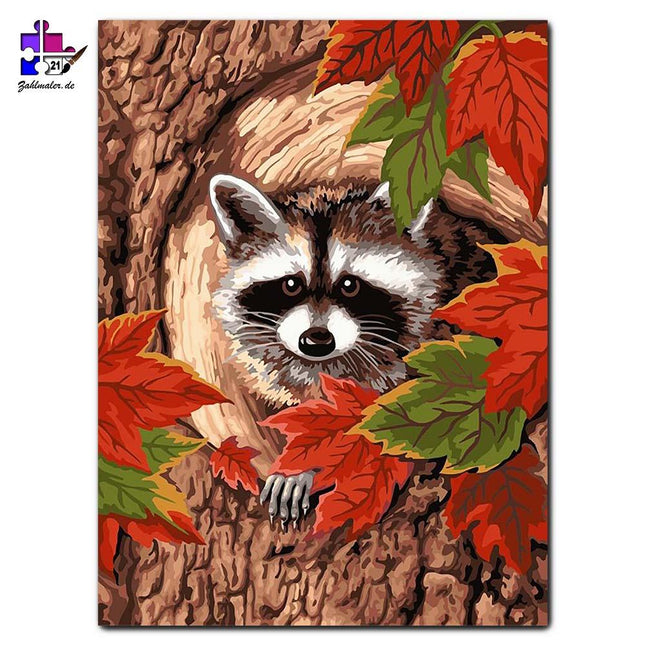Der Waschbär im herbstlichen Baumstamm | Malen nach Zahlen-Zahlmaler.de