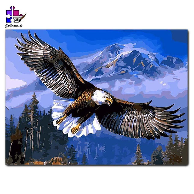 Der Weißkopfseeadler im Flug | Malen nach Zahlen-Zahlmaler.de