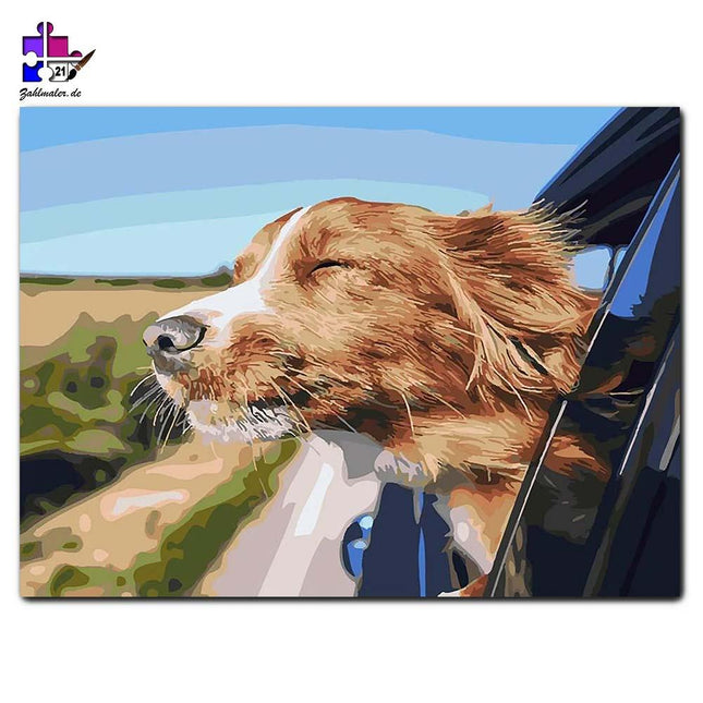 Der Wind in den Ohren des Hundes | Malen nach Zahlen-Zahlmaler.de