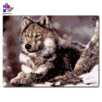 Der Wolf | Malen nach Zahlen-Zahlmaler.de