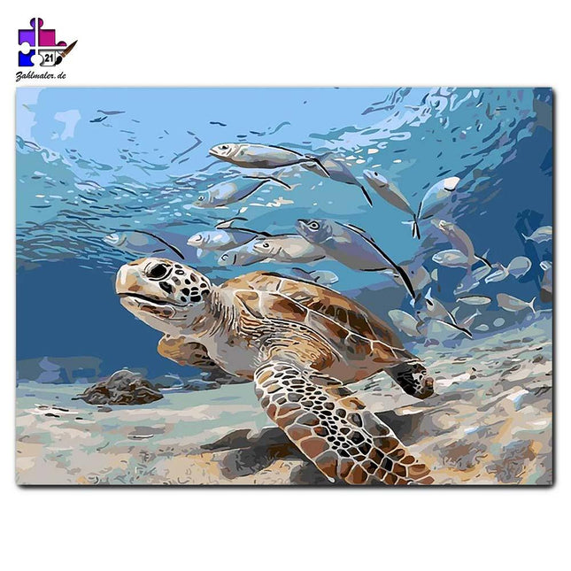 Die australische Schildkröte unter Wasser | Malen nach Zahlen-Zahlmaler.de