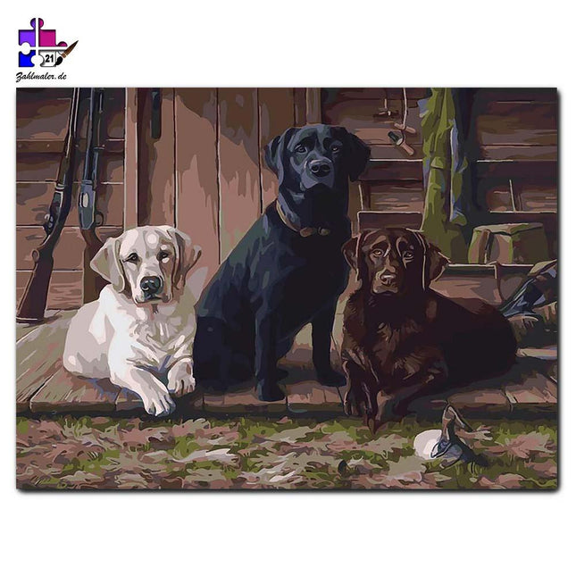 Die drei Jagdhunde am Revier | Malen nach Zahlen-Zahlmaler.de