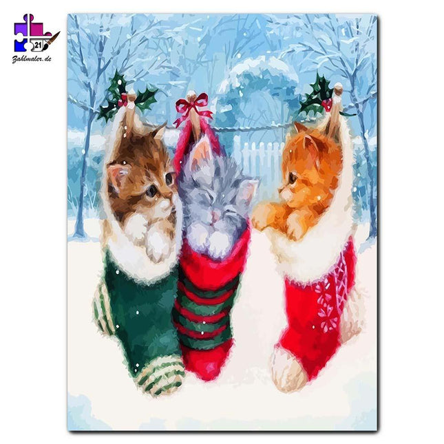 Die drei Kätzchen in den Weihnachtssocken | Malen nach Zahlen-Zahlmaler.de